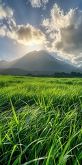 Fototapeta premium Grass field with Mount Fuji in the distance