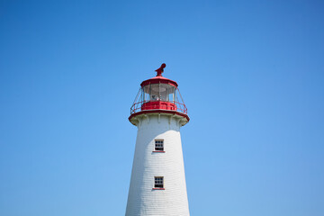 lighthouse on the coast