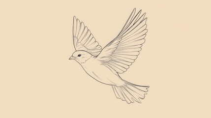 Fototapeta premium Outline of a bird in flight, with clean lines and no details, centered on a solid color background.