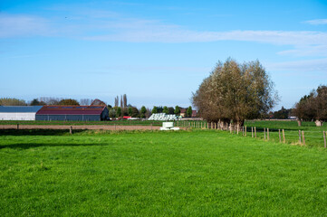 Agriculture fields during autumn in Grimbergen, Flemish Brabant, Belgium