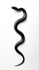 Obraz premium A black snake on a white background
