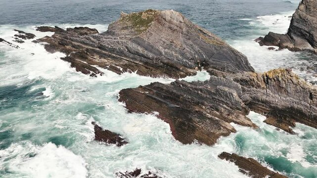 Top view of the flysch rocks washed by the ocean waves. Seagulls and storks are sitting on the clifftops. Arrifana, Portugal