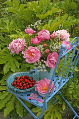 Pink peonies still life in a blue vase on a metal chair with a bowl of cherries outdoors in a...