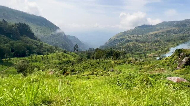 Sri Lanka meadow, mountains and nature forest view