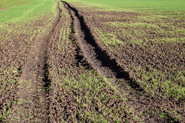 A tractor leaves uneven tracks in the field: one tire print is normal, the other deeply sunk....