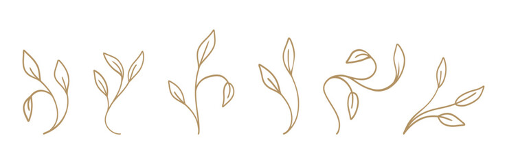 Delicate botanical leaf designs on a white background