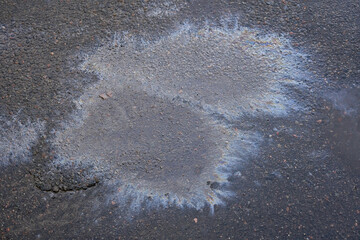 Oil stains on wet asphalt. Puddles are contaminated with multicolored streams of oil.