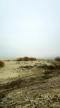 An expansive view of the sandy dunes at Efa Height on the Curonian Spit, with sparse vegetation and distant pine trees along the horizon. The soft, overcast sky enhances the tranquil atmosphere of