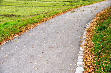 Gehweg ist von Herbstlaub gesäumt
