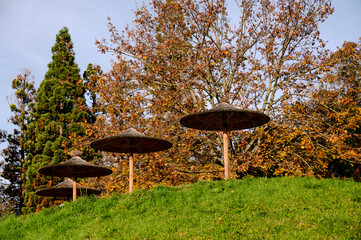 Sonnenschirme aus Bast vor herbstlichen Bäumen