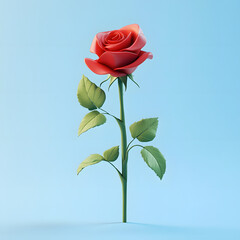 Red Rose on Minimal Blue Background