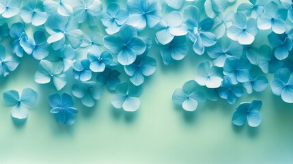 Blue Hydrangea Petals on a Light Green Background