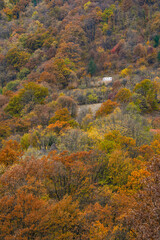 Fototapeta premium Image of a distant motor home caravan in the mountain forest, in autumn vibrant woodland foliage colours. Vacation weekend concept.