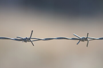 close up of barbed wire