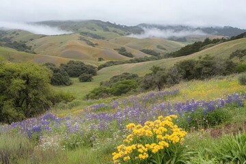Misty Hills Covered with Wildflowers in Soft Light