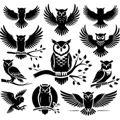 Obraz premium Owl Silhouette Set Black And White 