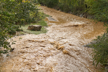 Muddy water and scattered vegetation along a riverbank, depicting the aftermath of a significant...