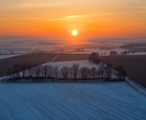 Fototapeta premium Sunrise over snow-covered fields with trees in rural landscape