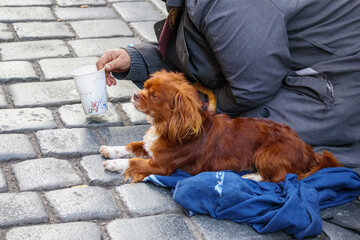 
a man with a dog is sitting on a city street