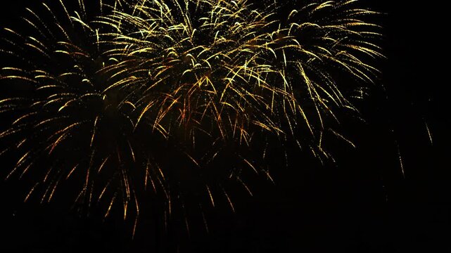 Gold and purple sparks scatter fireworks on the black night sky. General plan