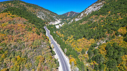 Asphalt road between the mountains and green, yellow trees. Nature landscape in the autumn