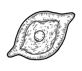 traditional boat pie with cheese and egg line drawing isolated on white. Ajarian or georgian khachapuri outline icon. baking sketch
