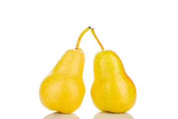 Juicy yellow pears isolated on white background, macro.