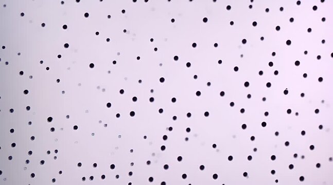 Simple speckle pattern with random black dots scattered across white paper-like texture