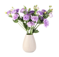 Vase with beautiful violet eustoma flowers isolated on white