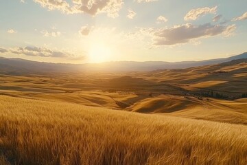Fototapeta premium Golden Hour Light Over Swaying Fields in Breeze