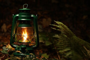 Vintage kerosene lamp in forest at evening, space for text
