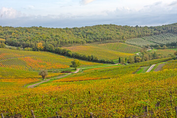 Obraz premium Scerari chiantigiani