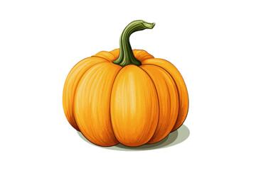 Obraz premium Pumpkin illustration: A bright and expressive design, isolated on a white background, highlighting the shape and color of this vegetable