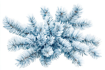 beautiful watercolor illustration of blue spruce branches, showcasing their delicate needles and natural beauty. Perfect for nature lovers and art enthusiasts