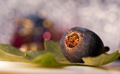 photo d'une figue dans un décor artificiel, très original, mise en valeur de la figue ronde de Bordeau, excellent fruit pour la santé