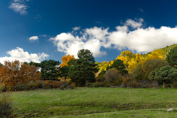 otoño en Guadarrama