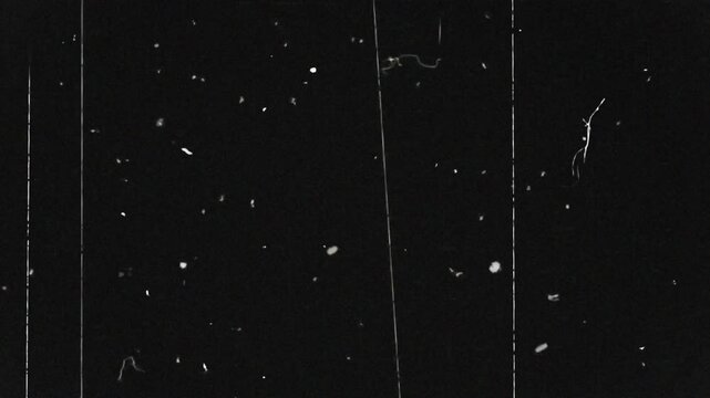 Noise, dirt, dust, scratches and grain on old damaged film surface. Old film look, tv signal with white vertical bad interference, static noise background. Screen mode usage for overlay your footage.