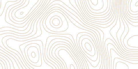 Abstract wave paper curved reliefs background, gradient multicolor wave curve lines banner background design, topographic contours map background, Vector geographic contour map.	