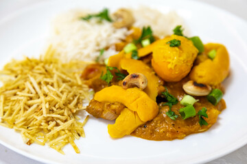 Traditional and exotic Brazilian dish rice, chicken and pequi (caryocar brasileinse) 