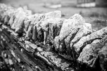 Orkney, Scotland - August 6, 2024: Stone walls on the island of Orkney in Scotland
