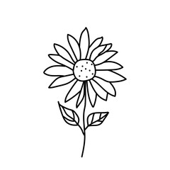 Abstract hand-drawn daisy flowers , Vector illustration wildflower. Perfect for branding or symbol design.