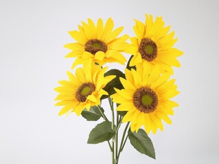 Obraz premium Vibrant yellow sunflowers against a plain white background