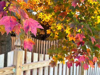 Fall on the Farm, October 2024