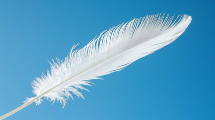 Obraz premium A Delicate White Feather Resting Gently on a Calm Blue Background, Evoking Beauty and Grace