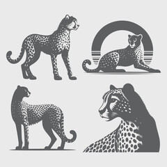 set of leopard animals