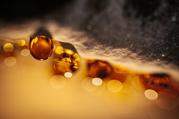 showcasing droplets of amber-colored resin exuding from the underside of a polypore mushroom. The...