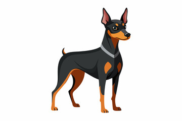 Shepard dog isolated on white background vector art illustration