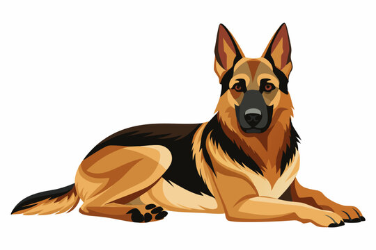 Shepard dog isolated on white background vector art illustration