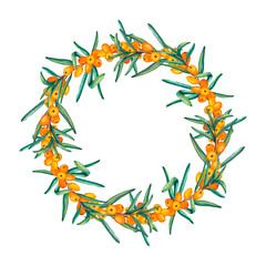 Wreath of sea buckthorn branches. Watercolor illustrations of a round frame of ripe orange berries. Clip art for product labels, packaging cosmetics, foods, medicine and tea