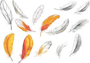 Collection of Hand-Drawn Feathers in Vibrant and Soft Colors